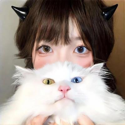完美犯罪