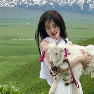 樱花革命:花开时的少女们